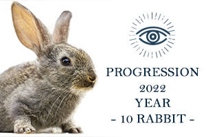PROGRESSION 2022 YEAR 10 RABBIT