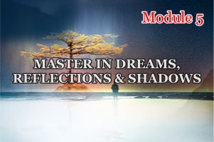 MASTER IN DREAMS PROMO 5 FIRST MODULES